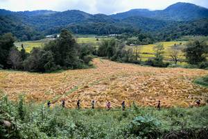 BIB: 
                            <button type="button" onclick="openModal(13501051)" class="btn btn-primary btn-sm float-right btn-popup" data-toggle="modal" data-target=".modal-high-quality">
                        <i class="fas fa-shopping-cart"></i> Add to Cart
                    </button>
                                            <button type="button" onclick="isThisMe(13501051, true)" class="btn btn-success btn-sm float-right btn-popup btn-isme hidden" data-toggle="tooltip" data-placement="bottom" title="นี่คือรูปของคุณใช่ไหม คลิกที่นี่เพื่อเอาเข้าอัลบั้ม">
                        <i class="fas fa-plus"></i> Add to album
                    </button>
                    <button type="button" onclick="isThisMe(13501051, false)" class="btn btn-warning btn-sm float-right btn-popup btn-isnotme hidden">
                        <i class="fas fa-ban"></i> Remove from album
                    </button>