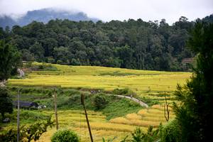 BIB: 
                            <button type="button" onclick="openModal(13500880)" class="btn btn-primary btn-sm float-right btn-popup" data-toggle="modal" data-target=".modal-high-quality">
                        <i class="fas fa-shopping-cart"></i> Add to Cart
                    </button>
                                            <button type="button" onclick="isThisMe(13500880, true)" class="btn btn-success btn-sm float-right btn-popup btn-isme hidden" data-toggle="tooltip" data-placement="bottom" title="นี่คือรูปของคุณใช่ไหม คลิกที่นี่เพื่อเอาเข้าอัลบั้ม">
                        <i class="fas fa-plus"></i> Add to album
                    </button>
                    <button type="button" onclick="isThisMe(13500880, false)" class="btn btn-warning btn-sm float-right btn-popup btn-isnotme hidden">
                        <i class="fas fa-ban"></i> Remove from album
                    </button>