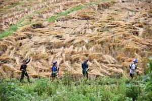 BIB: 
                            <button type="button" onclick="openModal(13501060)" class="btn btn-primary btn-sm float-right btn-popup" data-toggle="modal" data-target=".modal-high-quality">
                        <i class="fas fa-shopping-cart"></i> Add to Cart
                    </button>
                                            <button type="button" onclick="isThisMe(13501060, true)" class="btn btn-success btn-sm float-right btn-popup btn-isme hidden" data-toggle="tooltip" data-placement="bottom" title="นี่คือรูปของคุณใช่ไหม คลิกที่นี่เพื่อเอาเข้าอัลบั้ม">
                        <i class="fas fa-plus"></i> Add to album
                    </button>
                    <button type="button" onclick="isThisMe(13501060, false)" class="btn btn-warning btn-sm float-right btn-popup btn-isnotme hidden">
                        <i class="fas fa-ban"></i> Remove from album
                    </button>