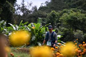 BIB: 
                            <button type="button" onclick="openModal(13500903)" class="btn btn-primary btn-sm float-right btn-popup" data-toggle="modal" data-target=".modal-high-quality">
                        <i class="fas fa-shopping-cart"></i> Add to Cart
                    </button>
                                            <button type="button" onclick="isThisMe(13500903, true)" class="btn btn-success btn-sm float-right btn-popup btn-isme hidden" data-toggle="tooltip" data-placement="bottom" title="นี่คือรูปของคุณใช่ไหม คลิกที่นี่เพื่อเอาเข้าอัลบั้ม">
                        <i class="fas fa-plus"></i> Add to album
                    </button>
                    <button type="button" onclick="isThisMe(13500903, false)" class="btn btn-warning btn-sm float-right btn-popup btn-isnotme hidden">
                        <i class="fas fa-ban"></i> Remove from album
                    </button>