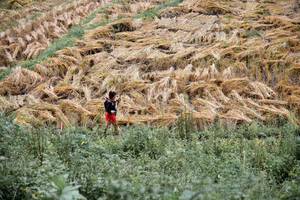 BIB: 
                            <button type="button" onclick="openModal(13501052)" class="btn btn-primary btn-sm float-right btn-popup" data-toggle="modal" data-target=".modal-high-quality">
                        <i class="fas fa-shopping-cart"></i> Add to Cart
                    </button>
                                            <button type="button" onclick="isThisMe(13501052, true)" class="btn btn-success btn-sm float-right btn-popup btn-isme hidden" data-toggle="tooltip" data-placement="bottom" title="นี่คือรูปของคุณใช่ไหม คลิกที่นี่เพื่อเอาเข้าอัลบั้ม">
                        <i class="fas fa-plus"></i> Add to album
                    </button>
                    <button type="button" onclick="isThisMe(13501052, false)" class="btn btn-warning btn-sm float-right btn-popup btn-isnotme hidden">
                        <i class="fas fa-ban"></i> Remove from album
                    </button>