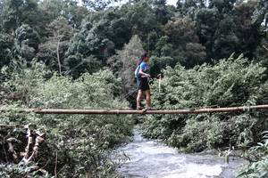 BIB: 
                            <button type="button" onclick="openModal(13500933)" class="btn btn-primary btn-sm float-right btn-popup" data-toggle="modal" data-target=".modal-high-quality">
                        <i class="fas fa-shopping-cart"></i> Add to Cart
                    </button>
                                            <button type="button" onclick="isThisMe(13500933, true)" class="btn btn-success btn-sm float-right btn-popup btn-isme hidden" data-toggle="tooltip" data-placement="bottom" title="นี่คือรูปของคุณใช่ไหม คลิกที่นี่เพื่อเอาเข้าอัลบั้ม">
                        <i class="fas fa-plus"></i> Add to album
                    </button>
                    <button type="button" onclick="isThisMe(13500933, false)" class="btn btn-warning btn-sm float-right btn-popup btn-isnotme hidden">
                        <i class="fas fa-ban"></i> Remove from album
                    </button>