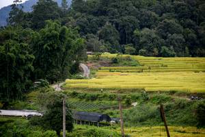 BIB: 
                            <button type="button" onclick="openModal(13500877)" class="btn btn-primary btn-sm float-right btn-popup" data-toggle="modal" data-target=".modal-high-quality">
                        <i class="fas fa-shopping-cart"></i> Add to Cart
                    </button>
                                            <button type="button" onclick="isThisMe(13500877, true)" class="btn btn-success btn-sm float-right btn-popup btn-isme hidden" data-toggle="tooltip" data-placement="bottom" title="นี่คือรูปของคุณใช่ไหม คลิกที่นี่เพื่อเอาเข้าอัลบั้ม">
                        <i class="fas fa-plus"></i> Add to album
                    </button>
                    <button type="button" onclick="isThisMe(13500877, false)" class="btn btn-warning btn-sm float-right btn-popup btn-isnotme hidden">
                        <i class="fas fa-ban"></i> Remove from album
                    </button>