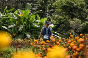 BIB: 
                            <button type="button" onclick="openModal(13500899)" class="btn btn-primary btn-sm float-right btn-popup" data-toggle="modal" data-target=".modal-high-quality">
                        <i class="fas fa-shopping-cart"></i> Add to Cart
                    </button>
                                            <button type="button" onclick="isThisMe(13500899, true)" class="btn btn-success btn-sm float-right btn-popup btn-isme hidden" data-toggle="tooltip" data-placement="bottom" title="นี่คือรูปของคุณใช่ไหม คลิกที่นี่เพื่อเอาเข้าอัลบั้ม">
                        <i class="fas fa-plus"></i> Add to album
                    </button>
                    <button type="button" onclick="isThisMe(13500899, false)" class="btn btn-warning btn-sm float-right btn-popup btn-isnotme hidden">
                        <i class="fas fa-ban"></i> Remove from album
                    </button>