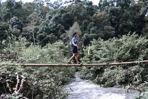 BIB: 
                            <button type="button" onclick="openModal(13500932)" class="btn btn-primary btn-sm float-right btn-popup" data-toggle="modal" data-target=".modal-high-quality">
                        <i class="fas fa-shopping-cart"></i> Add to Cart
                    </button>
                                            <button type="button" onclick="isThisMe(13500932, true)" class="btn btn-success btn-sm float-right btn-popup btn-isme hidden" data-toggle="tooltip" data-placement="bottom" title="นี่คือรูปของคุณใช่ไหม คลิกที่นี่เพื่อเอาเข้าอัลบั้ม">
                        <i class="fas fa-plus"></i> Add to album
                    </button>
                    <button type="button" onclick="isThisMe(13500932, false)" class="btn btn-warning btn-sm float-right btn-popup btn-isnotme hidden">
                        <i class="fas fa-ban"></i> Remove from album
                    </button>