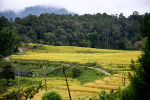 BIB: 
                            <button type="button" onclick="openModal(13500879)" class="btn btn-primary btn-sm float-right btn-popup" data-toggle="modal" data-target=".modal-high-quality">
                        <i class="fas fa-shopping-cart"></i> Add to Cart
                    </button>
                                            <button type="button" onclick="isThisMe(13500879, true)" class="btn btn-success btn-sm float-right btn-popup btn-isme hidden" data-toggle="tooltip" data-placement="bottom" title="นี่คือรูปของคุณใช่ไหม คลิกที่นี่เพื่อเอาเข้าอัลบั้ม">
                        <i class="fas fa-plus"></i> Add to album
                    </button>
                    <button type="button" onclick="isThisMe(13500879, false)" class="btn btn-warning btn-sm float-right btn-popup btn-isnotme hidden">
                        <i class="fas fa-ban"></i> Remove from album
                    </button>