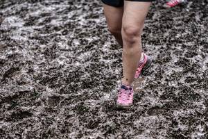 BIB: 
                            <button type="button" onclick="openModal(13500560)" class="btn btn-primary btn-sm float-right btn-popup" data-toggle="modal" data-target=".modal-high-quality">
                        <i class="fas fa-shopping-cart"></i> Add to Cart
                    </button>
                                            <button type="button" onclick="isThisMe(13500560, true)" class="btn btn-success btn-sm float-right btn-popup btn-isme hidden" data-toggle="tooltip" data-placement="bottom" title="นี่คือรูปของคุณใช่ไหม คลิกที่นี่เพื่อเอาเข้าอัลบั้ม">
                        <i class="fas fa-plus"></i> Add to album
                    </button>
                    <button type="button" onclick="isThisMe(13500560, false)" class="btn btn-warning btn-sm float-right btn-popup btn-isnotme hidden">
                        <i class="fas fa-ban"></i> Remove from album
                    </button>