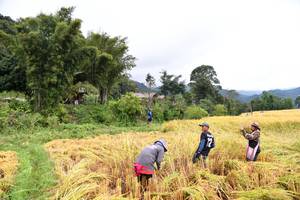 BIB: 
                            <button type="button" onclick="openModal(13500990)" class="btn btn-primary btn-sm float-right btn-popup" data-toggle="modal" data-target=".modal-high-quality">
                        <i class="fas fa-shopping-cart"></i> Add to Cart
                    </button>
                                            <button type="button" onclick="isThisMe(13500990, true)" class="btn btn-success btn-sm float-right btn-popup btn-isme hidden" data-toggle="tooltip" data-placement="bottom" title="นี่คือรูปของคุณใช่ไหม คลิกที่นี่เพื่อเอาเข้าอัลบั้ม">
                        <i class="fas fa-plus"></i> Add to album
                    </button>
                    <button type="button" onclick="isThisMe(13500990, false)" class="btn btn-warning btn-sm float-right btn-popup btn-isnotme hidden">
                        <i class="fas fa-ban"></i> Remove from album
                    </button>