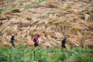 BIB: 
                            <button type="button" onclick="openModal(13501065)" class="btn btn-primary btn-sm float-right btn-popup" data-toggle="modal" data-target=".modal-high-quality">
                        <i class="fas fa-shopping-cart"></i> Add to Cart
                    </button>
                                            <button type="button" onclick="isThisMe(13501065, true)" class="btn btn-success btn-sm float-right btn-popup btn-isme hidden" data-toggle="tooltip" data-placement="bottom" title="นี่คือรูปของคุณใช่ไหม คลิกที่นี่เพื่อเอาเข้าอัลบั้ม">
                        <i class="fas fa-plus"></i> Add to album
                    </button>
                    <button type="button" onclick="isThisMe(13501065, false)" class="btn btn-warning btn-sm float-right btn-popup btn-isnotme hidden">
                        <i class="fas fa-ban"></i> Remove from album
                    </button>