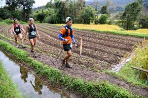 BIB: 
                            <button type="button" onclick="openModal(13501050)" class="btn btn-primary btn-sm float-right btn-popup" data-toggle="modal" data-target=".modal-high-quality">
                        <i class="fas fa-shopping-cart"></i> Add to Cart
                    </button>
                                            <button type="button" onclick="isThisMe(13501050, true)" class="btn btn-success btn-sm float-right btn-popup btn-isme hidden" data-toggle="tooltip" data-placement="bottom" title="นี่คือรูปของคุณใช่ไหม คลิกที่นี่เพื่อเอาเข้าอัลบั้ม">
                        <i class="fas fa-plus"></i> Add to album
                    </button>
                    <button type="button" onclick="isThisMe(13501050, false)" class="btn btn-warning btn-sm float-right btn-popup btn-isnotme hidden">
                        <i class="fas fa-ban"></i> Remove from album
                    </button>