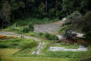 BIB: 
                            <button type="button" onclick="openModal(13500881)" class="btn btn-primary btn-sm float-right btn-popup" data-toggle="modal" data-target=".modal-high-quality">
                        <i class="fas fa-shopping-cart"></i> Add to Cart
                    </button>
                                            <button type="button" onclick="isThisMe(13500881, true)" class="btn btn-success btn-sm float-right btn-popup btn-isme hidden" data-toggle="tooltip" data-placement="bottom" title="นี่คือรูปของคุณใช่ไหม คลิกที่นี่เพื่อเอาเข้าอัลบั้ม">
                        <i class="fas fa-plus"></i> Add to album
                    </button>
                    <button type="button" onclick="isThisMe(13500881, false)" class="btn btn-warning btn-sm float-right btn-popup btn-isnotme hidden">
                        <i class="fas fa-ban"></i> Remove from album
                    </button>