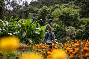 BIB: 
                            <button type="button" onclick="openModal(13500900)" class="btn btn-primary btn-sm float-right btn-popup" data-toggle="modal" data-target=".modal-high-quality">
                        <i class="fas fa-shopping-cart"></i> Add to Cart
                    </button>
                                            <button type="button" onclick="isThisMe(13500900, true)" class="btn btn-success btn-sm float-right btn-popup btn-isme hidden" data-toggle="tooltip" data-placement="bottom" title="นี่คือรูปของคุณใช่ไหม คลิกที่นี่เพื่อเอาเข้าอัลบั้ม">
                        <i class="fas fa-plus"></i> Add to album
                    </button>
                    <button type="button" onclick="isThisMe(13500900, false)" class="btn btn-warning btn-sm float-right btn-popup btn-isnotme hidden">
                        <i class="fas fa-ban"></i> Remove from album
                    </button>