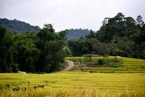 BIB: 
                            <button type="button" onclick="openModal(13500871)" class="btn btn-primary btn-sm float-right btn-popup" data-toggle="modal" data-target=".modal-high-quality">
                        <i class="fas fa-shopping-cart"></i> Add to Cart
                    </button>
                                            <button type="button" onclick="isThisMe(13500871, true)" class="btn btn-success btn-sm float-right btn-popup btn-isme hidden" data-toggle="tooltip" data-placement="bottom" title="นี่คือรูปของคุณใช่ไหม คลิกที่นี่เพื่อเอาเข้าอัลบั้ม">
                        <i class="fas fa-plus"></i> Add to album
                    </button>
                    <button type="button" onclick="isThisMe(13500871, false)" class="btn btn-warning btn-sm float-right btn-popup btn-isnotme hidden">
                        <i class="fas fa-ban"></i> Remove from album
                    </button>