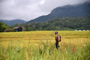 BIB: 
                            <button type="button" onclick="openModal(13500734)" class="btn btn-primary btn-sm float-right btn-popup" data-toggle="modal" data-target=".modal-high-quality">
                        <i class="fas fa-shopping-cart"></i> Add to Cart
                    </button>
                                            <button type="button" onclick="isThisMe(13500734, true)" class="btn btn-success btn-sm float-right btn-popup btn-isme hidden" data-toggle="tooltip" data-placement="bottom" title="นี่คือรูปของคุณใช่ไหม คลิกที่นี่เพื่อเอาเข้าอัลบั้ม">
                        <i class="fas fa-plus"></i> Add to album
                    </button>
                    <button type="button" onclick="isThisMe(13500734, false)" class="btn btn-warning btn-sm float-right btn-popup btn-isnotme hidden">
                        <i class="fas fa-ban"></i> Remove from album
                    </button>