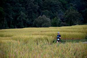 BIB: 
                            <button type="button" onclick="openModal(13500762)" class="btn btn-primary btn-sm float-right btn-popup" data-toggle="modal" data-target=".modal-high-quality">
                        <i class="fas fa-shopping-cart"></i> Add to Cart
                    </button>
                                            <button type="button" onclick="isThisMe(13500762, true)" class="btn btn-success btn-sm float-right btn-popup btn-isme hidden" data-toggle="tooltip" data-placement="bottom" title="นี่คือรูปของคุณใช่ไหม คลิกที่นี่เพื่อเอาเข้าอัลบั้ม">
                        <i class="fas fa-plus"></i> Add to album
                    </button>
                    <button type="button" onclick="isThisMe(13500762, false)" class="btn btn-warning btn-sm float-right btn-popup btn-isnotme hidden">
                        <i class="fas fa-ban"></i> Remove from album
                    </button>