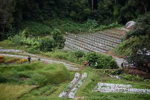 BIB: 
                            <button type="button" onclick="openModal(13500882)" class="btn btn-primary btn-sm float-right btn-popup" data-toggle="modal" data-target=".modal-high-quality">
                        <i class="fas fa-shopping-cart"></i> Add to Cart
                    </button>
                                            <button type="button" onclick="isThisMe(13500882, true)" class="btn btn-success btn-sm float-right btn-popup btn-isme hidden" data-toggle="tooltip" data-placement="bottom" title="นี่คือรูปของคุณใช่ไหม คลิกที่นี่เพื่อเอาเข้าอัลบั้ม">
                        <i class="fas fa-plus"></i> Add to album
                    </button>
                    <button type="button" onclick="isThisMe(13500882, false)" class="btn btn-warning btn-sm float-right btn-popup btn-isnotme hidden">
                        <i class="fas fa-ban"></i> Remove from album
                    </button>