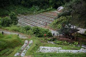 BIB: 
                            <button type="button" onclick="openModal(13500883)" class="btn btn-primary btn-sm float-right btn-popup" data-toggle="modal" data-target=".modal-high-quality">
                        <i class="fas fa-shopping-cart"></i> Add to Cart
                    </button>
                                            <button type="button" onclick="isThisMe(13500883, true)" class="btn btn-success btn-sm float-right btn-popup btn-isme hidden" data-toggle="tooltip" data-placement="bottom" title="นี่คือรูปของคุณใช่ไหม คลิกที่นี่เพื่อเอาเข้าอัลบั้ม">
                        <i class="fas fa-plus"></i> Add to album
                    </button>
                    <button type="button" onclick="isThisMe(13500883, false)" class="btn btn-warning btn-sm float-right btn-popup btn-isnotme hidden">
                        <i class="fas fa-ban"></i> Remove from album
                    </button>