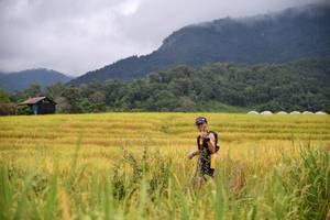 BIB: 
                            <button type="button" onclick="openModal(13500733)" class="btn btn-primary btn-sm float-right btn-popup" data-toggle="modal" data-target=".modal-high-quality">
                        <i class="fas fa-shopping-cart"></i> Add to Cart
                    </button>
                                            <button type="button" onclick="isThisMe(13500733, true)" class="btn btn-success btn-sm float-right btn-popup btn-isme hidden" data-toggle="tooltip" data-placement="bottom" title="นี่คือรูปของคุณใช่ไหม คลิกที่นี่เพื่อเอาเข้าอัลบั้ม">
                        <i class="fas fa-plus"></i> Add to album
                    </button>
                    <button type="button" onclick="isThisMe(13500733, false)" class="btn btn-warning btn-sm float-right btn-popup btn-isnotme hidden">
                        <i class="fas fa-ban"></i> Remove from album
                    </button>