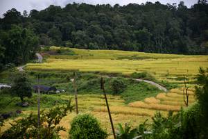 BIB: 
                            <button type="button" onclick="openModal(13500649)" class="btn btn-primary btn-sm float-right btn-popup" data-toggle="modal" data-target=".modal-high-quality">
                        <i class="fas fa-shopping-cart"></i> Add to Cart
                    </button>
                                            <button type="button" onclick="isThisMe(13500649, true)" class="btn btn-success btn-sm float-right btn-popup btn-isme hidden" data-toggle="tooltip" data-placement="bottom" title="นี่คือรูปของคุณใช่ไหม คลิกที่นี่เพื่อเอาเข้าอัลบั้ม">
                        <i class="fas fa-plus"></i> Add to album
                    </button>
                    <button type="button" onclick="isThisMe(13500649, false)" class="btn btn-warning btn-sm float-right btn-popup btn-isnotme hidden">
                        <i class="fas fa-ban"></i> Remove from album
                    </button>