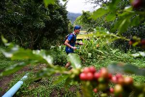 BIB: 
                            <button type="button" onclick="openModal(13501017)" class="btn btn-primary btn-sm float-right btn-popup" data-toggle="modal" data-target=".modal-high-quality">
                        <i class="fas fa-shopping-cart"></i> Add to Cart
                    </button>
                                            <button type="button" onclick="isThisMe(13501017, true)" class="btn btn-success btn-sm float-right btn-popup btn-isme hidden" data-toggle="tooltip" data-placement="bottom" title="นี่คือรูปของคุณใช่ไหม คลิกที่นี่เพื่อเอาเข้าอัลบั้ม">
                        <i class="fas fa-plus"></i> Add to album
                    </button>
                    <button type="button" onclick="isThisMe(13501017, false)" class="btn btn-warning btn-sm float-right btn-popup btn-isnotme hidden">
                        <i class="fas fa-ban"></i> Remove from album
                    </button>