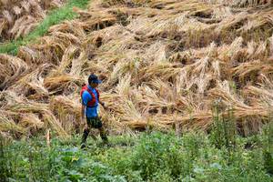 BIB: 
                            <button type="button" onclick="openModal(13501053)" class="btn btn-primary btn-sm float-right btn-popup" data-toggle="modal" data-target=".modal-high-quality">
                        <i class="fas fa-shopping-cart"></i> Add to Cart
                    </button>
                                            <button type="button" onclick="isThisMe(13501053, true)" class="btn btn-success btn-sm float-right btn-popup btn-isme hidden" data-toggle="tooltip" data-placement="bottom" title="นี่คือรูปของคุณใช่ไหม คลิกที่นี่เพื่อเอาเข้าอัลบั้ม">
                        <i class="fas fa-plus"></i> Add to album
                    </button>
                    <button type="button" onclick="isThisMe(13501053, false)" class="btn btn-warning btn-sm float-right btn-popup btn-isnotme hidden">
                        <i class="fas fa-ban"></i> Remove from album
                    </button>