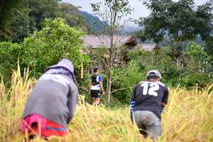 BIB: 
                            <button type="button" onclick="openModal(13500994)" class="btn btn-primary btn-sm float-right btn-popup" data-toggle="modal" data-target=".modal-high-quality">
                        <i class="fas fa-shopping-cart"></i> Add to Cart
                    </button>
                                            <button type="button" onclick="isThisMe(13500994, true)" class="btn btn-success btn-sm float-right btn-popup btn-isme hidden" data-toggle="tooltip" data-placement="bottom" title="นี่คือรูปของคุณใช่ไหม คลิกที่นี่เพื่อเอาเข้าอัลบั้ม">
                        <i class="fas fa-plus"></i> Add to album
                    </button>
                    <button type="button" onclick="isThisMe(13500994, false)" class="btn btn-warning btn-sm float-right btn-popup btn-isnotme hidden">
                        <i class="fas fa-ban"></i> Remove from album
                    </button>