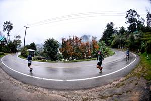 BIB: 
                            <button type="button" onclick="openModal(13500636)" class="btn btn-primary btn-sm float-right btn-popup" data-toggle="modal" data-target=".modal-high-quality">
                        <i class="fas fa-shopping-cart"></i> Add to Cart
                    </button>
                                            <button type="button" onclick="isThisMe(13500636, true)" class="btn btn-success btn-sm float-right btn-popup btn-isme hidden" data-toggle="tooltip" data-placement="bottom" title="นี่คือรูปของคุณใช่ไหม คลิกที่นี่เพื่อเอาเข้าอัลบั้ม">
                        <i class="fas fa-plus"></i> Add to album
                    </button>
                    <button type="button" onclick="isThisMe(13500636, false)" class="btn btn-warning btn-sm float-right btn-popup btn-isnotme hidden">
                        <i class="fas fa-ban"></i> Remove from album
                    </button>