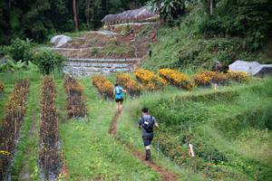 BIB: 
                            <button type="button" onclick="openModal(13500886)" class="btn btn-primary btn-sm float-right btn-popup" data-toggle="modal" data-target=".modal-high-quality">
                        <i class="fas fa-shopping-cart"></i> Add to Cart
                    </button>
                                            <button type="button" onclick="isThisMe(13500886, true)" class="btn btn-success btn-sm float-right btn-popup btn-isme hidden" data-toggle="tooltip" data-placement="bottom" title="นี่คือรูปของคุณใช่ไหม คลิกที่นี่เพื่อเอาเข้าอัลบั้ม">
                        <i class="fas fa-plus"></i> Add to album
                    </button>
                    <button type="button" onclick="isThisMe(13500886, false)" class="btn btn-warning btn-sm float-right btn-popup btn-isnotme hidden">
                        <i class="fas fa-ban"></i> Remove from album
                    </button>