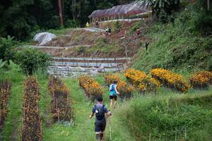 BIB: 
                            <button type="button" onclick="openModal(13500887)" class="btn btn-primary btn-sm float-right btn-popup" data-toggle="modal" data-target=".modal-high-quality">
                        <i class="fas fa-shopping-cart"></i> Add to Cart
                    </button>
                                            <button type="button" onclick="isThisMe(13500887, true)" class="btn btn-success btn-sm float-right btn-popup btn-isme hidden" data-toggle="tooltip" data-placement="bottom" title="นี่คือรูปของคุณใช่ไหม คลิกที่นี่เพื่อเอาเข้าอัลบั้ม">
                        <i class="fas fa-plus"></i> Add to album
                    </button>
                    <button type="button" onclick="isThisMe(13500887, false)" class="btn btn-warning btn-sm float-right btn-popup btn-isnotme hidden">
                        <i class="fas fa-ban"></i> Remove from album
                    </button>