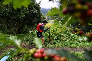 BIB: 
                            <button type="button" onclick="openModal(13501015)" class="btn btn-primary btn-sm float-right btn-popup" data-toggle="modal" data-target=".modal-high-quality">
                        <i class="fas fa-shopping-cart"></i> Add to Cart
                    </button>
                                            <button type="button" onclick="isThisMe(13501015, true)" class="btn btn-success btn-sm float-right btn-popup btn-isme hidden" data-toggle="tooltip" data-placement="bottom" title="นี่คือรูปของคุณใช่ไหม คลิกที่นี่เพื่อเอาเข้าอัลบั้ม">
                        <i class="fas fa-plus"></i> Add to album
                    </button>
                    <button type="button" onclick="isThisMe(13501015, false)" class="btn btn-warning btn-sm float-right btn-popup btn-isnotme hidden">
                        <i class="fas fa-ban"></i> Remove from album
                    </button>