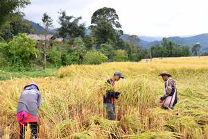 BIB: 
                            <button type="button" onclick="openModal(13500989)" class="btn btn-primary btn-sm float-right btn-popup" data-toggle="modal" data-target=".modal-high-quality">
                        <i class="fas fa-shopping-cart"></i> Add to Cart
                    </button>
                                            <button type="button" onclick="isThisMe(13500989, true)" class="btn btn-success btn-sm float-right btn-popup btn-isme hidden" data-toggle="tooltip" data-placement="bottom" title="นี่คือรูปของคุณใช่ไหม คลิกที่นี่เพื่อเอาเข้าอัลบั้ม">
                        <i class="fas fa-plus"></i> Add to album
                    </button>
                    <button type="button" onclick="isThisMe(13500989, false)" class="btn btn-warning btn-sm float-right btn-popup btn-isnotme hidden">
                        <i class="fas fa-ban"></i> Remove from album
                    </button>