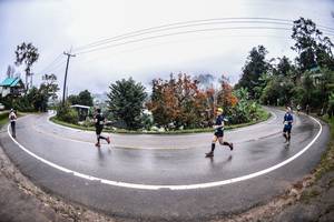 BIB: 
                            <button type="button" onclick="openModal(13500642)" class="btn btn-primary btn-sm float-right btn-popup" data-toggle="modal" data-target=".modal-high-quality">
                        <i class="fas fa-shopping-cart"></i> Add to Cart
                    </button>
                                            <button type="button" onclick="isThisMe(13500642, true)" class="btn btn-success btn-sm float-right btn-popup btn-isme hidden" data-toggle="tooltip" data-placement="bottom" title="นี่คือรูปของคุณใช่ไหม คลิกที่นี่เพื่อเอาเข้าอัลบั้ม">
                        <i class="fas fa-plus"></i> Add to album
                    </button>
                    <button type="button" onclick="isThisMe(13500642, false)" class="btn btn-warning btn-sm float-right btn-popup btn-isnotme hidden">
                        <i class="fas fa-ban"></i> Remove from album
                    </button>