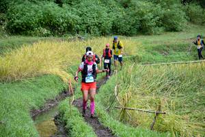 BIB: 
                            <button type="button" onclick="openModal(13501043)" class="btn btn-primary btn-sm float-right btn-popup" data-toggle="modal" data-target=".modal-high-quality">
                        <i class="fas fa-shopping-cart"></i> Add to Cart
                    </button>
                                            <button type="button" onclick="isThisMe(13501043, true)" class="btn btn-success btn-sm float-right btn-popup btn-isme hidden" data-toggle="tooltip" data-placement="bottom" title="นี่คือรูปของคุณใช่ไหม คลิกที่นี่เพื่อเอาเข้าอัลบั้ม">
                        <i class="fas fa-plus"></i> Add to album
                    </button>
                    <button type="button" onclick="isThisMe(13501043, false)" class="btn btn-warning btn-sm float-right btn-popup btn-isnotme hidden">
                        <i class="fas fa-ban"></i> Remove from album
                    </button>