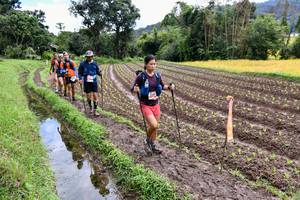 BIB: 
                            <button type="button" onclick="openModal(13501045)" class="btn btn-primary btn-sm float-right btn-popup" data-toggle="modal" data-target=".modal-high-quality">
                        <i class="fas fa-shopping-cart"></i> Add to Cart
                    </button>
                                            <button type="button" onclick="isThisMe(13501045, true)" class="btn btn-success btn-sm float-right btn-popup btn-isme hidden" data-toggle="tooltip" data-placement="bottom" title="นี่คือรูปของคุณใช่ไหม คลิกที่นี่เพื่อเอาเข้าอัลบั้ม">
                        <i class="fas fa-plus"></i> Add to album
                    </button>
                    <button type="button" onclick="isThisMe(13501045, false)" class="btn btn-warning btn-sm float-right btn-popup btn-isnotme hidden">
                        <i class="fas fa-ban"></i> Remove from album
                    </button>