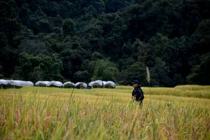 BIB: 
                            <button type="button" onclick="openModal(13500774)" class="btn btn-primary btn-sm float-right btn-popup" data-toggle="modal" data-target=".modal-high-quality">
                        <i class="fas fa-shopping-cart"></i> Add to Cart
                    </button>
                                            <button type="button" onclick="isThisMe(13500774, true)" class="btn btn-success btn-sm float-right btn-popup btn-isme hidden" data-toggle="tooltip" data-placement="bottom" title="นี่คือรูปของคุณใช่ไหม คลิกที่นี่เพื่อเอาเข้าอัลบั้ม">
                        <i class="fas fa-plus"></i> Add to album
                    </button>
                    <button type="button" onclick="isThisMe(13500774, false)" class="btn btn-warning btn-sm float-right btn-popup btn-isnotme hidden">
                        <i class="fas fa-ban"></i> Remove from album
                    </button>