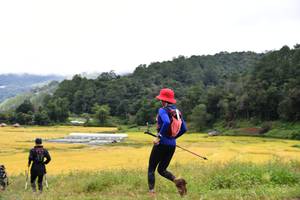 BIB: 
                            <button type="button" onclick="openModal(13500973)" class="btn btn-primary btn-sm float-right btn-popup" data-toggle="modal" data-target=".modal-high-quality">
                        <i class="fas fa-shopping-cart"></i> Add to Cart
                    </button>
                                            <button type="button" onclick="isThisMe(13500973, true)" class="btn btn-success btn-sm float-right btn-popup btn-isme hidden" data-toggle="tooltip" data-placement="bottom" title="นี่คือรูปของคุณใช่ไหม คลิกที่นี่เพื่อเอาเข้าอัลบั้ม">
                        <i class="fas fa-plus"></i> Add to album
                    </button>
                    <button type="button" onclick="isThisMe(13500973, false)" class="btn btn-warning btn-sm float-right btn-popup btn-isnotme hidden">
                        <i class="fas fa-ban"></i> Remove from album
                    </button>