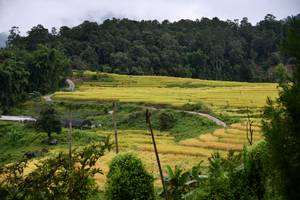 BIB: 
                            <button type="button" onclick="openModal(13500650)" class="btn btn-primary btn-sm float-right btn-popup" data-toggle="modal" data-target=".modal-high-quality">
                        <i class="fas fa-shopping-cart"></i> Add to Cart
                    </button>
                                            <button type="button" onclick="isThisMe(13500650, true)" class="btn btn-success btn-sm float-right btn-popup btn-isme hidden" data-toggle="tooltip" data-placement="bottom" title="นี่คือรูปของคุณใช่ไหม คลิกที่นี่เพื่อเอาเข้าอัลบั้ม">
                        <i class="fas fa-plus"></i> Add to album
                    </button>
                    <button type="button" onclick="isThisMe(13500650, false)" class="btn btn-warning btn-sm float-right btn-popup btn-isnotme hidden">
                        <i class="fas fa-ban"></i> Remove from album
                    </button>