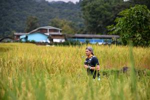 BIB: 
                            <button type="button" onclick="openModal(13500737)" class="btn btn-primary btn-sm float-right btn-popup" data-toggle="modal" data-target=".modal-high-quality">
                        <i class="fas fa-shopping-cart"></i> Add to Cart
                    </button>
                                            <button type="button" onclick="isThisMe(13500737, true)" class="btn btn-success btn-sm float-right btn-popup btn-isme hidden" data-toggle="tooltip" data-placement="bottom" title="นี่คือรูปของคุณใช่ไหม คลิกที่นี่เพื่อเอาเข้าอัลบั้ม">
                        <i class="fas fa-plus"></i> Add to album
                    </button>
                    <button type="button" onclick="isThisMe(13500737, false)" class="btn btn-warning btn-sm float-right btn-popup btn-isnotme hidden">
                        <i class="fas fa-ban"></i> Remove from album
                    </button>