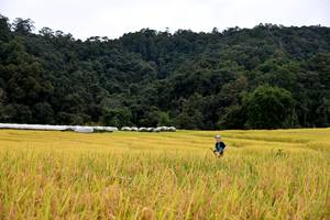 BIB: 
                            <button type="button" onclick="openModal(13500769)" class="btn btn-primary btn-sm float-right btn-popup" data-toggle="modal" data-target=".modal-high-quality">
                        <i class="fas fa-shopping-cart"></i> Add to Cart
                    </button>
                                            <button type="button" onclick="isThisMe(13500769, true)" class="btn btn-success btn-sm float-right btn-popup btn-isme hidden" data-toggle="tooltip" data-placement="bottom" title="นี่คือรูปของคุณใช่ไหม คลิกที่นี่เพื่อเอาเข้าอัลบั้ม">
                        <i class="fas fa-plus"></i> Add to album
                    </button>
                    <button type="button" onclick="isThisMe(13500769, false)" class="btn btn-warning btn-sm float-right btn-popup btn-isnotme hidden">
                        <i class="fas fa-ban"></i> Remove from album
                    </button>