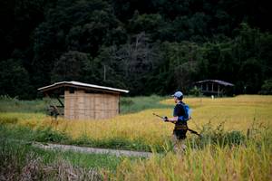 BIB: 
                            <button type="button" onclick="openModal(13500768)" class="btn btn-primary btn-sm float-right btn-popup" data-toggle="modal" data-target=".modal-high-quality">
                        <i class="fas fa-shopping-cart"></i> Add to Cart
                    </button>
                                            <button type="button" onclick="isThisMe(13500768, true)" class="btn btn-success btn-sm float-right btn-popup btn-isme hidden" data-toggle="tooltip" data-placement="bottom" title="นี่คือรูปของคุณใช่ไหม คลิกที่นี่เพื่อเอาเข้าอัลบั้ม">
                        <i class="fas fa-plus"></i> Add to album
                    </button>
                    <button type="button" onclick="isThisMe(13500768, false)" class="btn btn-warning btn-sm float-right btn-popup btn-isnotme hidden">
                        <i class="fas fa-ban"></i> Remove from album
                    </button>