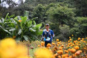 BIB: 
                            <button type="button" onclick="openModal(13500905)" class="btn btn-primary btn-sm float-right btn-popup" data-toggle="modal" data-target=".modal-high-quality">
                        <i class="fas fa-shopping-cart"></i> Add to Cart
                    </button>
                                            <button type="button" onclick="isThisMe(13500905, true)" class="btn btn-success btn-sm float-right btn-popup btn-isme hidden" data-toggle="tooltip" data-placement="bottom" title="นี่คือรูปของคุณใช่ไหม คลิกที่นี่เพื่อเอาเข้าอัลบั้ม">
                        <i class="fas fa-plus"></i> Add to album
                    </button>
                    <button type="button" onclick="isThisMe(13500905, false)" class="btn btn-warning btn-sm float-right btn-popup btn-isnotme hidden">
                        <i class="fas fa-ban"></i> Remove from album
                    </button>