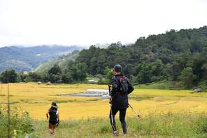 BIB: 
                            <button type="button" onclick="openModal(13500972)" class="btn btn-primary btn-sm float-right btn-popup" data-toggle="modal" data-target=".modal-high-quality">
                        <i class="fas fa-shopping-cart"></i> Add to Cart
                    </button>
                                            <button type="button" onclick="isThisMe(13500972, true)" class="btn btn-success btn-sm float-right btn-popup btn-isme hidden" data-toggle="tooltip" data-placement="bottom" title="นี่คือรูปของคุณใช่ไหม คลิกที่นี่เพื่อเอาเข้าอัลบั้ม">
                        <i class="fas fa-plus"></i> Add to album
                    </button>
                    <button type="button" onclick="isThisMe(13500972, false)" class="btn btn-warning btn-sm float-right btn-popup btn-isnotme hidden">
                        <i class="fas fa-ban"></i> Remove from album
                    </button>