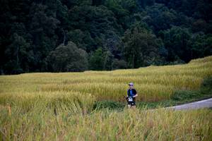 BIB: 
                            <button type="button" onclick="openModal(13500763)" class="btn btn-primary btn-sm float-right btn-popup" data-toggle="modal" data-target=".modal-high-quality">
                        <i class="fas fa-shopping-cart"></i> Add to Cart
                    </button>
                                            <button type="button" onclick="isThisMe(13500763, true)" class="btn btn-success btn-sm float-right btn-popup btn-isme hidden" data-toggle="tooltip" data-placement="bottom" title="นี่คือรูปของคุณใช่ไหม คลิกที่นี่เพื่อเอาเข้าอัลบั้ม">
                        <i class="fas fa-plus"></i> Add to album
                    </button>
                    <button type="button" onclick="isThisMe(13500763, false)" class="btn btn-warning btn-sm float-right btn-popup btn-isnotme hidden">
                        <i class="fas fa-ban"></i> Remove from album
                    </button>