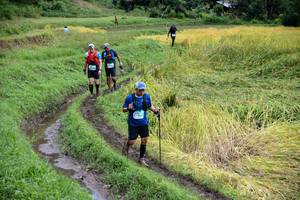 BIB: 
                            <button type="button" onclick="openModal(13501033)" class="btn btn-primary btn-sm float-right btn-popup" data-toggle="modal" data-target=".modal-high-quality">
                        <i class="fas fa-shopping-cart"></i> Add to Cart
                    </button>
                                            <button type="button" onclick="isThisMe(13501033, true)" class="btn btn-success btn-sm float-right btn-popup btn-isme hidden" data-toggle="tooltip" data-placement="bottom" title="นี่คือรูปของคุณใช่ไหม คลิกที่นี่เพื่อเอาเข้าอัลบั้ม">
                        <i class="fas fa-plus"></i> Add to album
                    </button>
                    <button type="button" onclick="isThisMe(13501033, false)" class="btn btn-warning btn-sm float-right btn-popup btn-isnotme hidden">
                        <i class="fas fa-ban"></i> Remove from album
                    </button>