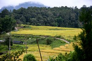 BIB: 
                            <button type="button" onclick="openModal(13500876)" class="btn btn-primary btn-sm float-right btn-popup" data-toggle="modal" data-target=".modal-high-quality">
                        <i class="fas fa-shopping-cart"></i> Add to Cart
                    </button>
                                            <button type="button" onclick="isThisMe(13500876, true)" class="btn btn-success btn-sm float-right btn-popup btn-isme hidden" data-toggle="tooltip" data-placement="bottom" title="นี่คือรูปของคุณใช่ไหม คลิกที่นี่เพื่อเอาเข้าอัลบั้ม">
                        <i class="fas fa-plus"></i> Add to album
                    </button>
                    <button type="button" onclick="isThisMe(13500876, false)" class="btn btn-warning btn-sm float-right btn-popup btn-isnotme hidden">
                        <i class="fas fa-ban"></i> Remove from album
                    </button>