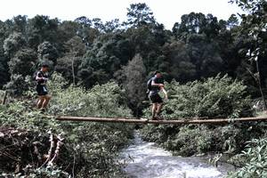 BIB: 
                            <button type="button" onclick="openModal(13500935)" class="btn btn-primary btn-sm float-right btn-popup" data-toggle="modal" data-target=".modal-high-quality">
                        <i class="fas fa-shopping-cart"></i> Add to Cart
                    </button>
                                            <button type="button" onclick="isThisMe(13500935, true)" class="btn btn-success btn-sm float-right btn-popup btn-isme hidden" data-toggle="tooltip" data-placement="bottom" title="นี่คือรูปของคุณใช่ไหม คลิกที่นี่เพื่อเอาเข้าอัลบั้ม">
                        <i class="fas fa-plus"></i> Add to album
                    </button>
                    <button type="button" onclick="isThisMe(13500935, false)" class="btn btn-warning btn-sm float-right btn-popup btn-isnotme hidden">
                        <i class="fas fa-ban"></i> Remove from album
                    </button>