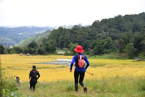 BIB: 
                            <button type="button" onclick="openModal(13500974)" class="btn btn-primary btn-sm float-right btn-popup" data-toggle="modal" data-target=".modal-high-quality">
                        <i class="fas fa-shopping-cart"></i> Add to Cart
                    </button>
                                            <button type="button" onclick="isThisMe(13500974, true)" class="btn btn-success btn-sm float-right btn-popup btn-isme hidden" data-toggle="tooltip" data-placement="bottom" title="นี่คือรูปของคุณใช่ไหม คลิกที่นี่เพื่อเอาเข้าอัลบั้ม">
                        <i class="fas fa-plus"></i> Add to album
                    </button>
                    <button type="button" onclick="isThisMe(13500974, false)" class="btn btn-warning btn-sm float-right btn-popup btn-isnotme hidden">
                        <i class="fas fa-ban"></i> Remove from album
                    </button>