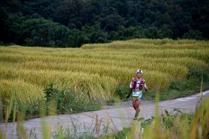 BIB: 
                            <button type="button" onclick="openModal(13500775)" class="btn btn-primary btn-sm float-right btn-popup" data-toggle="modal" data-target=".modal-high-quality">
                        <i class="fas fa-shopping-cart"></i> Add to Cart
                    </button>
                                            <button type="button" onclick="isThisMe(13500775, true)" class="btn btn-success btn-sm float-right btn-popup btn-isme hidden" data-toggle="tooltip" data-placement="bottom" title="นี่คือรูปของคุณใช่ไหม คลิกที่นี่เพื่อเอาเข้าอัลบั้ม">
                        <i class="fas fa-plus"></i> Add to album
                    </button>
                    <button type="button" onclick="isThisMe(13500775, false)" class="btn btn-warning btn-sm float-right btn-popup btn-isnotme hidden">
                        <i class="fas fa-ban"></i> Remove from album
                    </button>