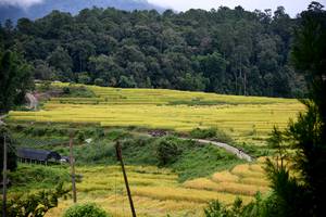 BIB: 
                            <button type="button" onclick="openModal(13500874)" class="btn btn-primary btn-sm float-right btn-popup" data-toggle="modal" data-target=".modal-high-quality">
                        <i class="fas fa-shopping-cart"></i> Add to Cart
                    </button>
                                            <button type="button" onclick="isThisMe(13500874, true)" class="btn btn-success btn-sm float-right btn-popup btn-isme hidden" data-toggle="tooltip" data-placement="bottom" title="นี่คือรูปของคุณใช่ไหม คลิกที่นี่เพื่อเอาเข้าอัลบั้ม">
                        <i class="fas fa-plus"></i> Add to album
                    </button>
                    <button type="button" onclick="isThisMe(13500874, false)" class="btn btn-warning btn-sm float-right btn-popup btn-isnotme hidden">
                        <i class="fas fa-ban"></i> Remove from album
                    </button>