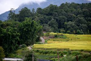 BIB: 
                            <button type="button" onclick="openModal(13500878)" class="btn btn-primary btn-sm float-right btn-popup" data-toggle="modal" data-target=".modal-high-quality">
                        <i class="fas fa-shopping-cart"></i> Add to Cart
                    </button>
                                            <button type="button" onclick="isThisMe(13500878, true)" class="btn btn-success btn-sm float-right btn-popup btn-isme hidden" data-toggle="tooltip" data-placement="bottom" title="นี่คือรูปของคุณใช่ไหม คลิกที่นี่เพื่อเอาเข้าอัลบั้ม">
                        <i class="fas fa-plus"></i> Add to album
                    </button>
                    <button type="button" onclick="isThisMe(13500878, false)" class="btn btn-warning btn-sm float-right btn-popup btn-isnotme hidden">
                        <i class="fas fa-ban"></i> Remove from album
                    </button>